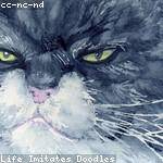 Kathlyn Franecki Profile Picture